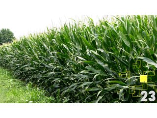 Property photo 85 - Land Auction - 3,379 Acres in 48 Tracts, 2,900 Acres Tillable, Large Contiguous Tracts - Investment Potential